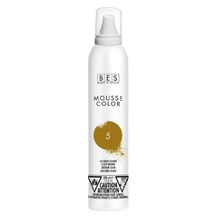 BES Barevné pěnové tužidlo - světlá kaštanová (5) 200 ml