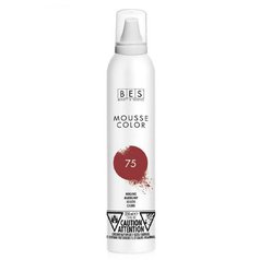 BES Barevné pěnové tužidlo - mahagonová (75) 200 ml