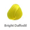 bright daffodil.jpg