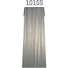 101SS.jpg