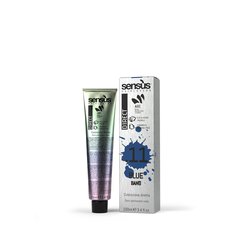Sens.ùs_Direct_Bang_Blue_100ml.jpg